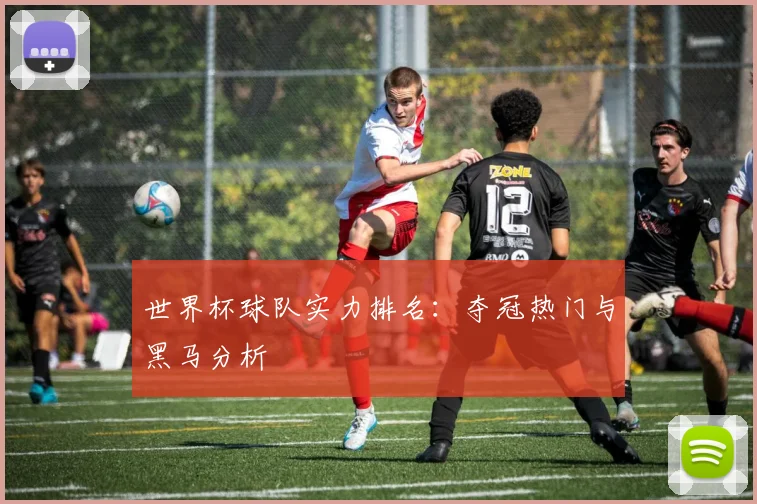 世界杯球队实力排名:夺冠热门与黑马分析