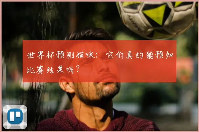 世界杯预测猫咪：它们真的能预知比赛结果吗？