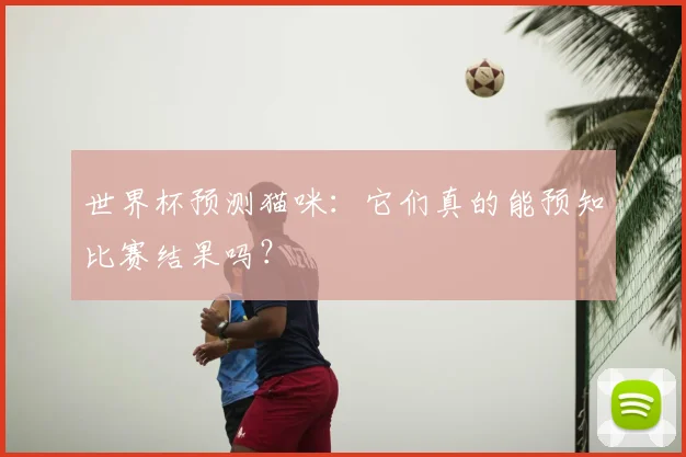 世界杯预测猫咪：它们真的能预知比赛结果吗？